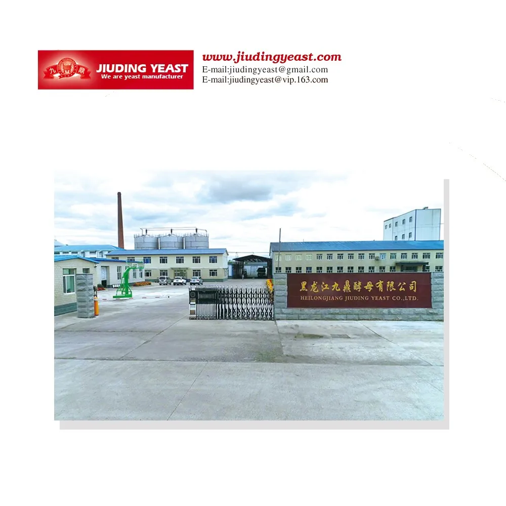 
Active feed dry yeast Live Yeast Of Saccharomyces cerevisiae For Animal Feed 