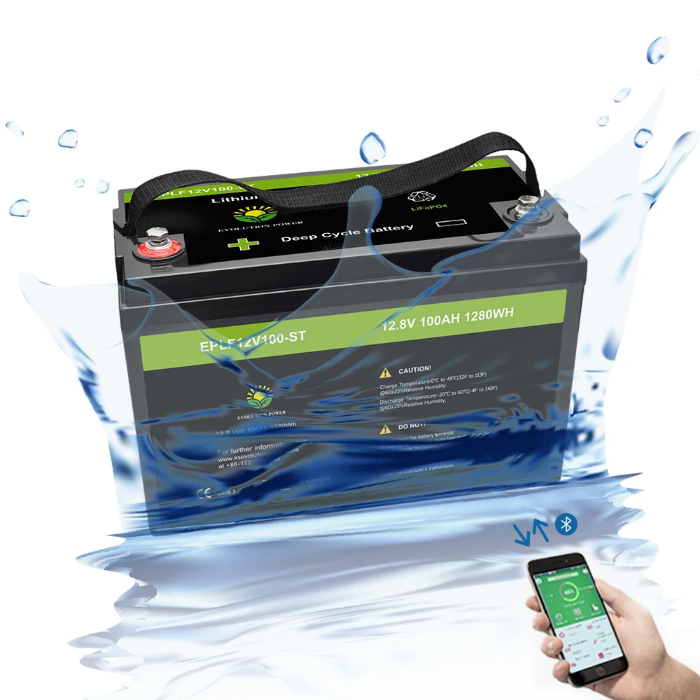  Deep cycle Waterproof lifepo4 12V 100ah 200ah 300ah lithium ion batteries pack for RV marine solar