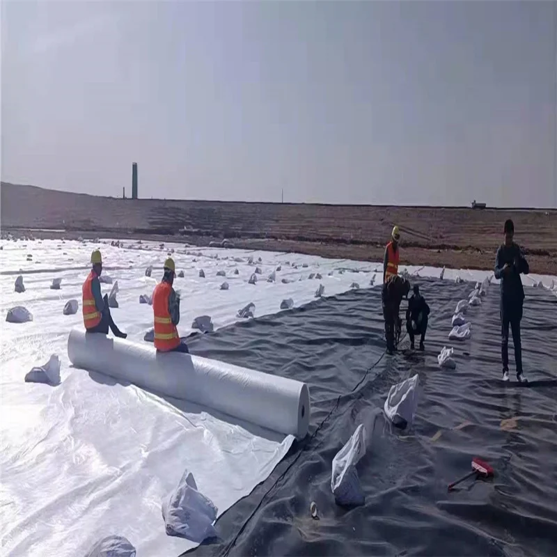 Free sample dam liner geomembrane hdpe geomembrane hdpe film