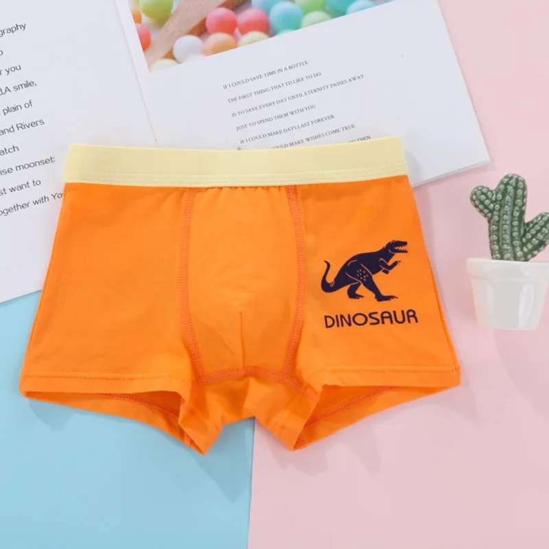 
Wholesale Dinosaur Print Boy Boxer 3pcs pack Children Boy Underwear 