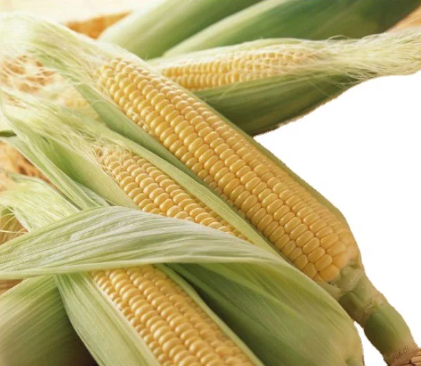 Greenfood мгновенный оригинальный Кукуруза паста без добавления сахара 375 г/пакет