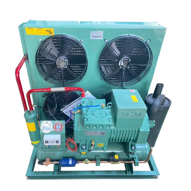 3hp 4hp 5hp 6hp 7.5hp 10hp 12hp 20hp Холодильный конденсаторный блок с воздушным охлаждением морозильная камера конденсация установка для холодной комнаты