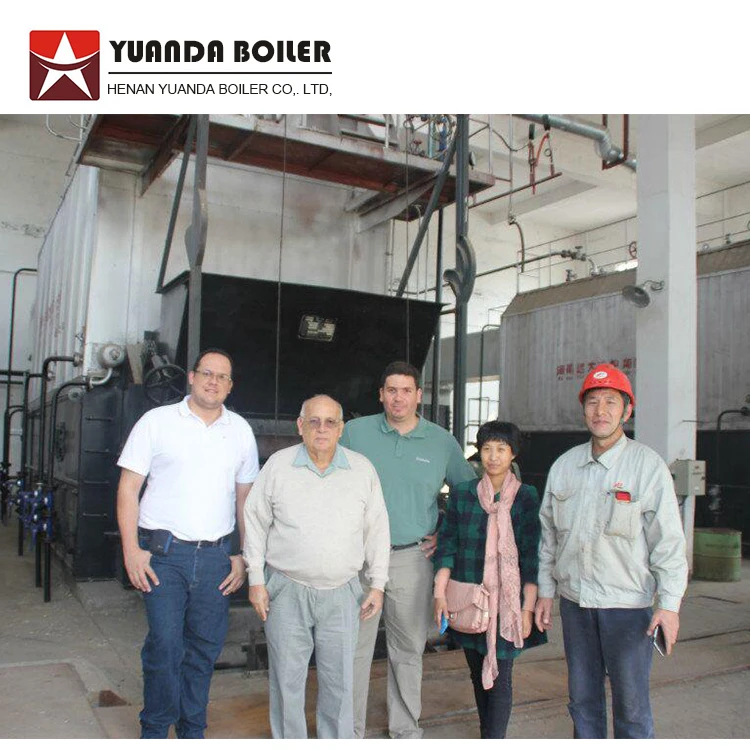 9 ton/hr Chain Grate Anthracite Fuel Coke Coal Fired Steam Boiler
