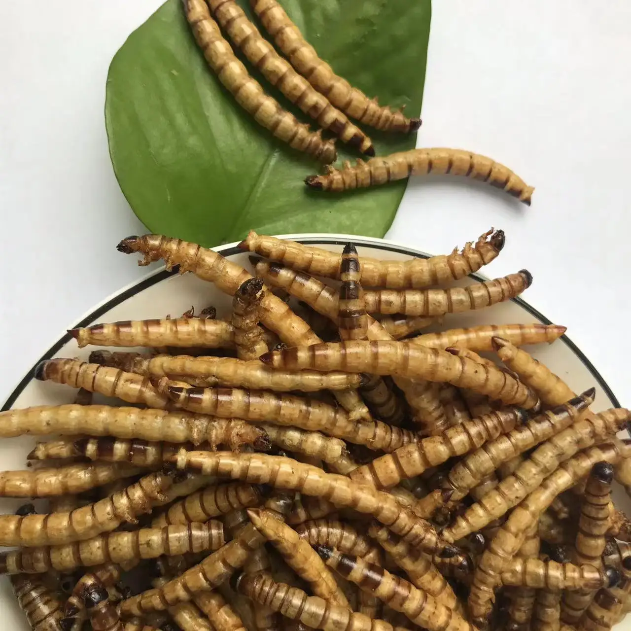 Съедобный суперчервь корм для домашних животных съедобные насекомые сушеный сухая Лига