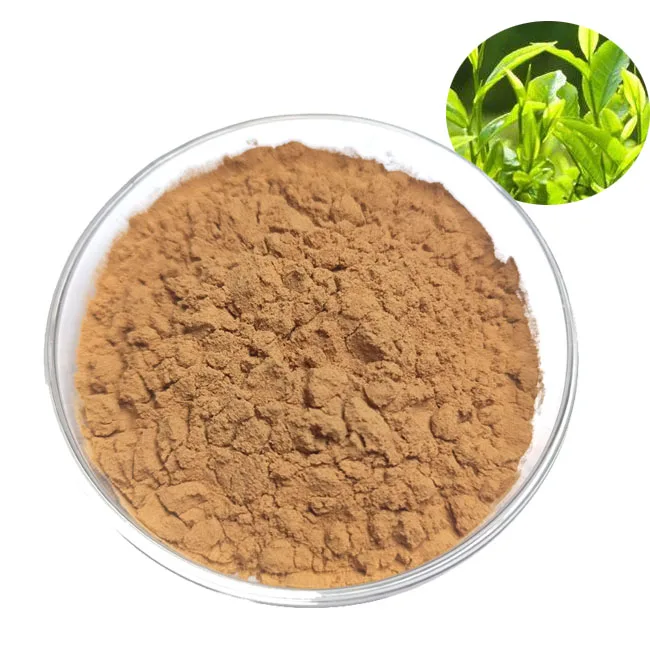 ISO Factory Green Tea Extract EGCG 50% Powder Supply Natural Green Tea Extract Tea Polyphenols 98%