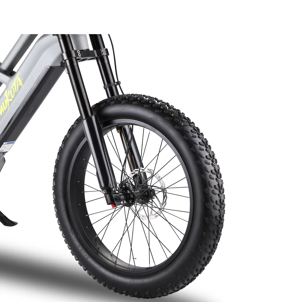Mukuta Knight Factory Price Buy Fast Electric Mountain Bike Eu Cheap 24 Inch Fat Tire Electric Bike 2000W 1200W 52V 20Ah