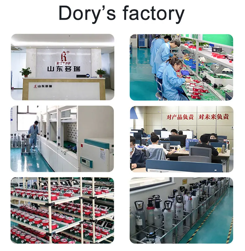 OEM / ODM High Sensitive Fixed Single Gas Leak Detector Alarm With Light And Led Display