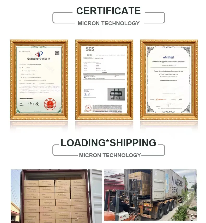 Gas Spring Monitor Arm