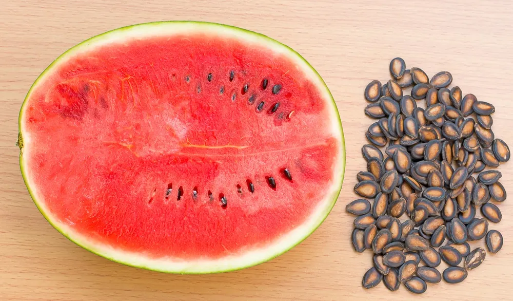 Medium Size Exporters Agriculture Eat Kernels Dried Black Red White Watermelon Melon Seeds Kernels For Mix Nuts Wholesale