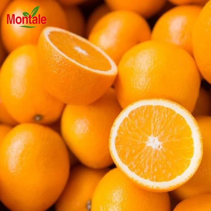 Montale Top quality nutrients fresh newhall orange Natural Cultivation type orange