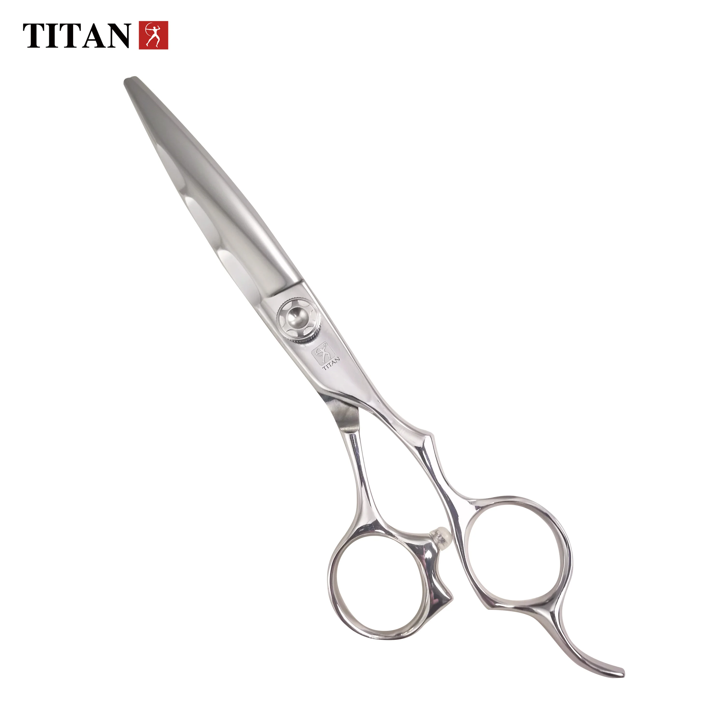 TITAN Парикмахерская инструмент парикмахерские ножницы из японской стали Japan440c парикмахерский инструментальный борода шариковый винт для резки нержавеющей 10 шт.