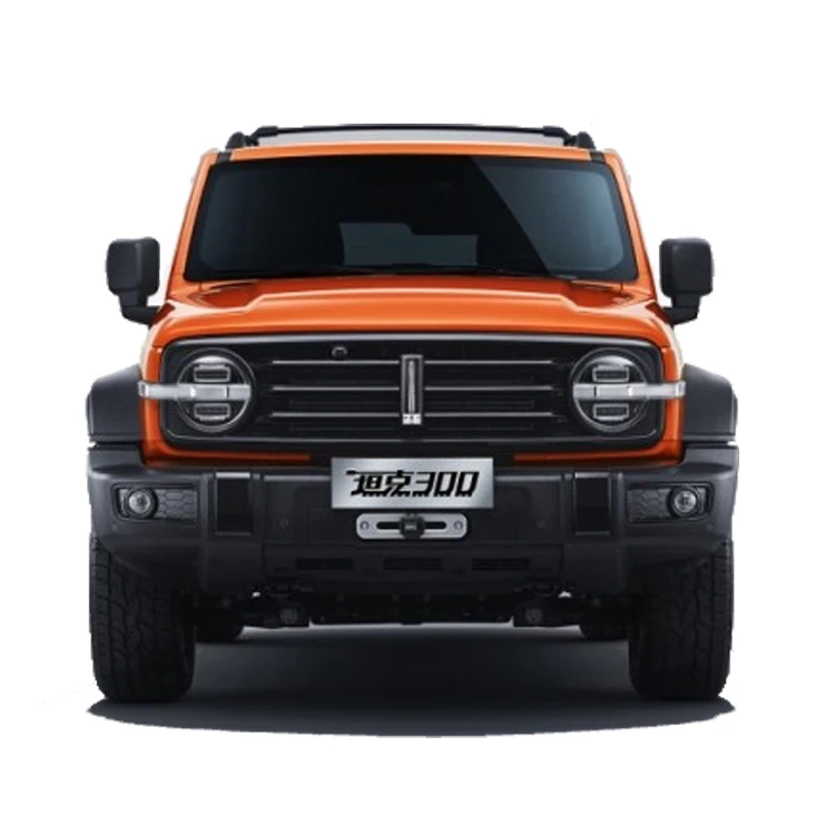 Оптовая продажа Большой Настенный Танк 300 2024 модель 2 0 T Challenger Conqueror Explorer внедорожный автомобиль путешественник транспортное средство киберпространство