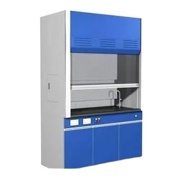 Customized Laboratory Workbench Laboratory Equipment Lab Fume Hood