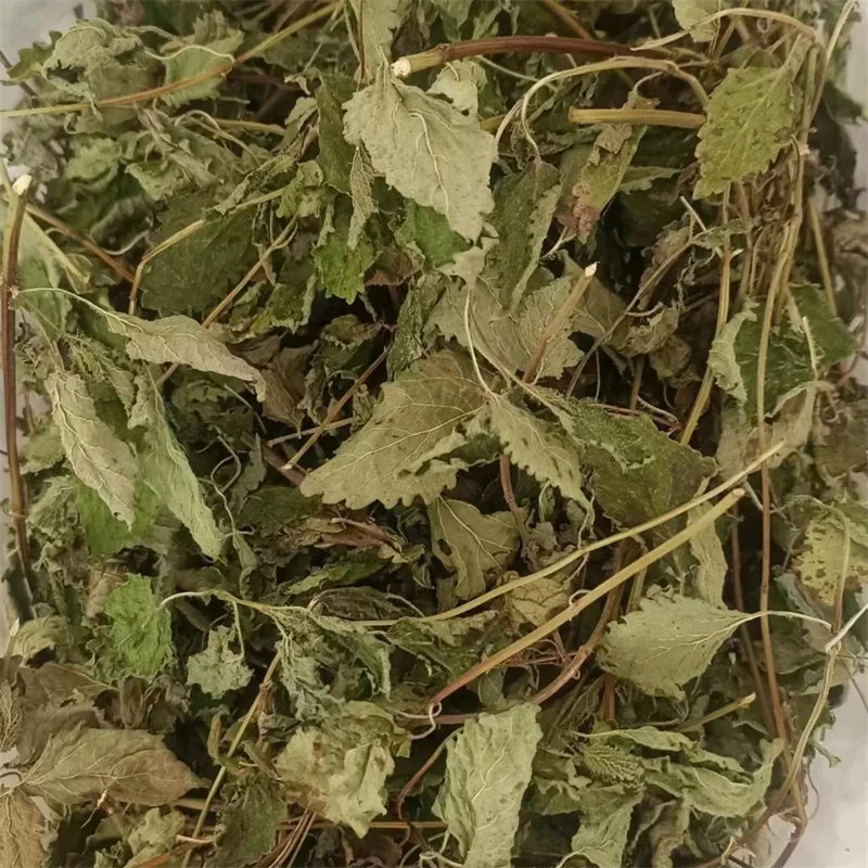 Natural High Quality Melissa Officinalis Healthy Tea Dried Plants Organic Lemon Balm
