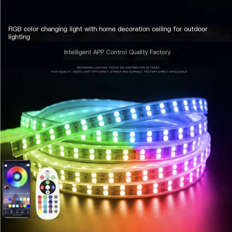 220V Decorative Led Smd 5050 Rgb Remote Control Hotel Colorful Outdoor Waterproof Led Light with Intelligent Strip Light