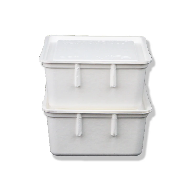 OEM Wholesale Custom Disposable Portable And Leak-proof Pulp Bagasse Inner Packaging For Food Box