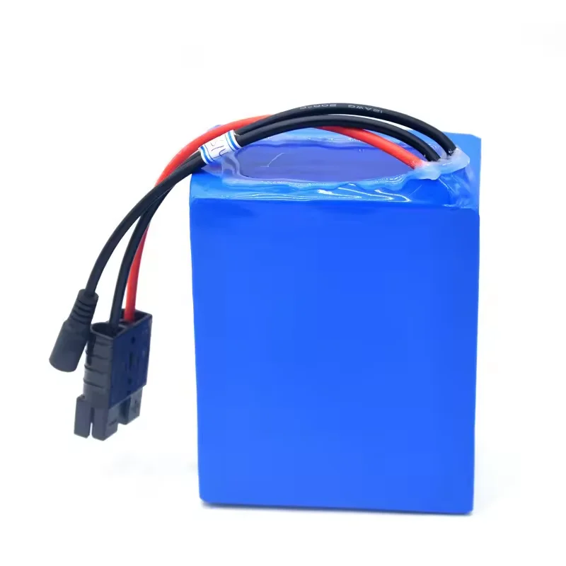 24V 36V lifepo4 48v 20ah electric bicycle lithium battery scooter power lithium battery citycoco battery for e-bike