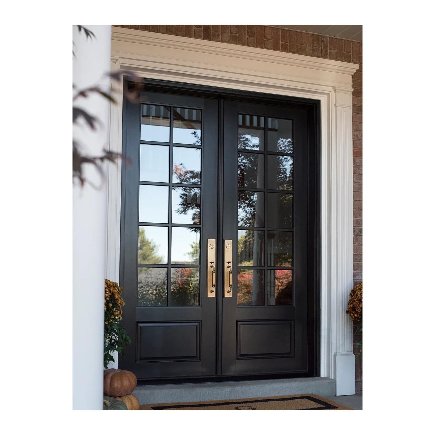 Ace Wood International Style Video Entrance Door Lock Pivot Entrance Metal Door With Thermal Break Modern Design Entrance Door