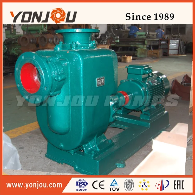Self-priming Centrifugal Marine Bilge / Ballast Pump Electric Cast Iron Horizontal 3 Hp Oil and Marine 100% Copper Wire 40 Mm