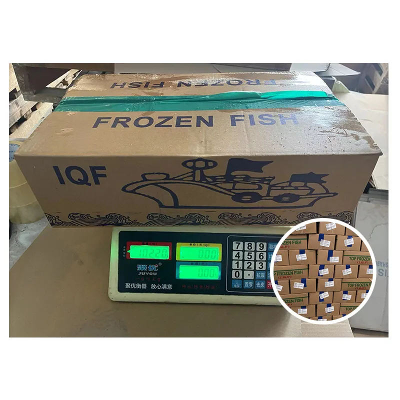 Moonfish Mene Maculata Good Sale Moon Fish Cheap