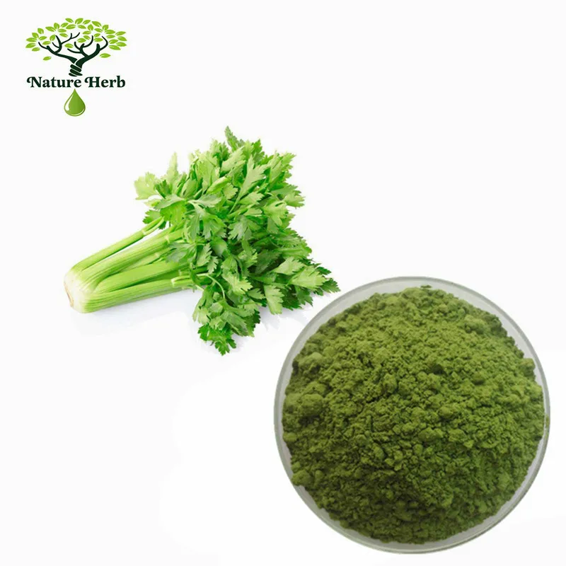Best Quality Natural Food Additives Dehydrated Vegetable Celery Powder