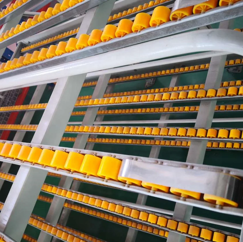 FIFO Roller Racking Carton Flow Racks For Warehouse Product Picking And Storage