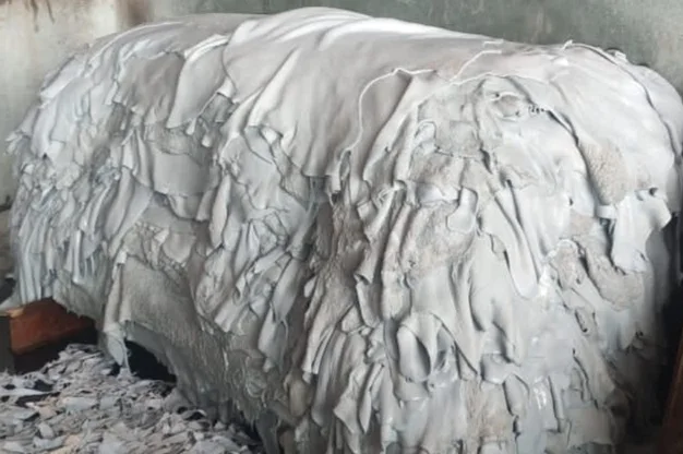 Wet Salted Cowhides/Skins For Wholesale - 100% Genuine Leather