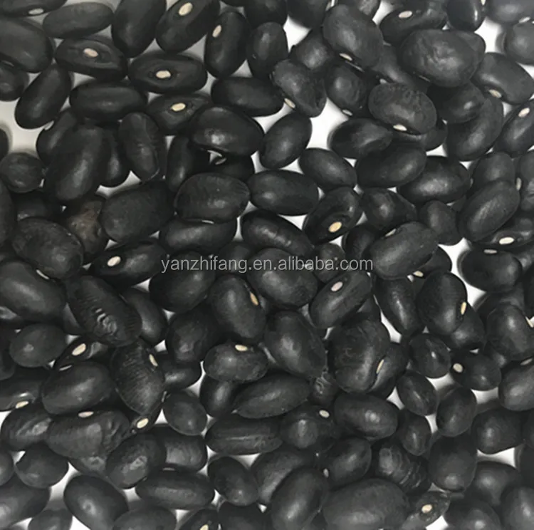 Wholesale soya beans black kidney bean soybean supplier
