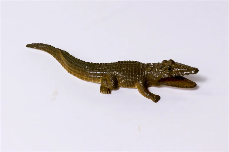 YX  Animal (3)