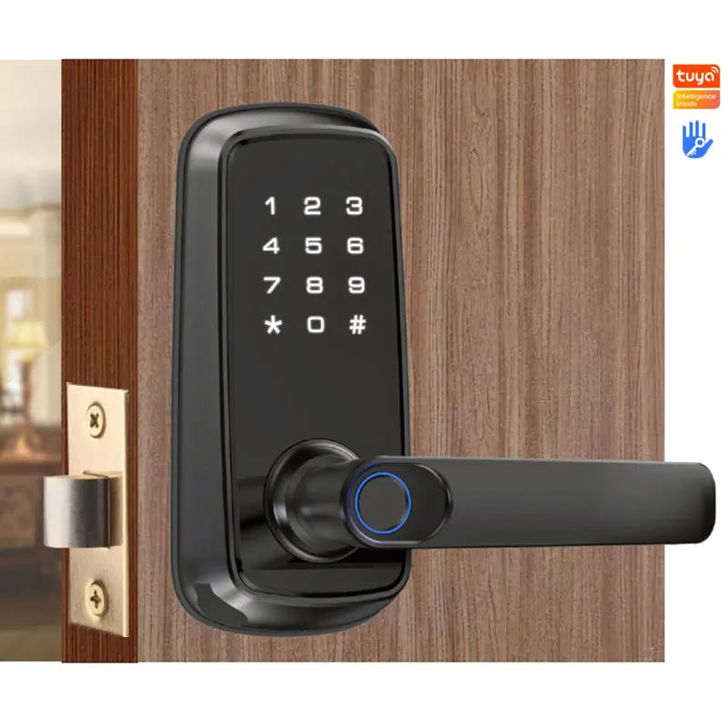 Double Front Door Entry Door Lock Dead Bolt Lock Security Mortise Tuya Wifi Electronic Finger Print Lock