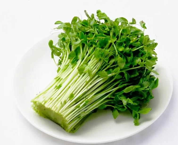 Hot style Intelligent Irrigation Hydroponics System for Vegetables