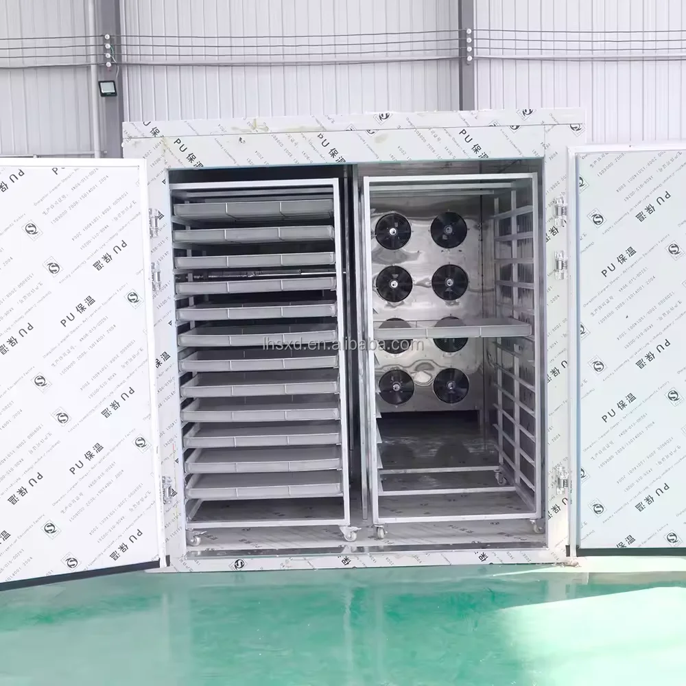 Efficient and energy-saving fruit and vegetable dryer