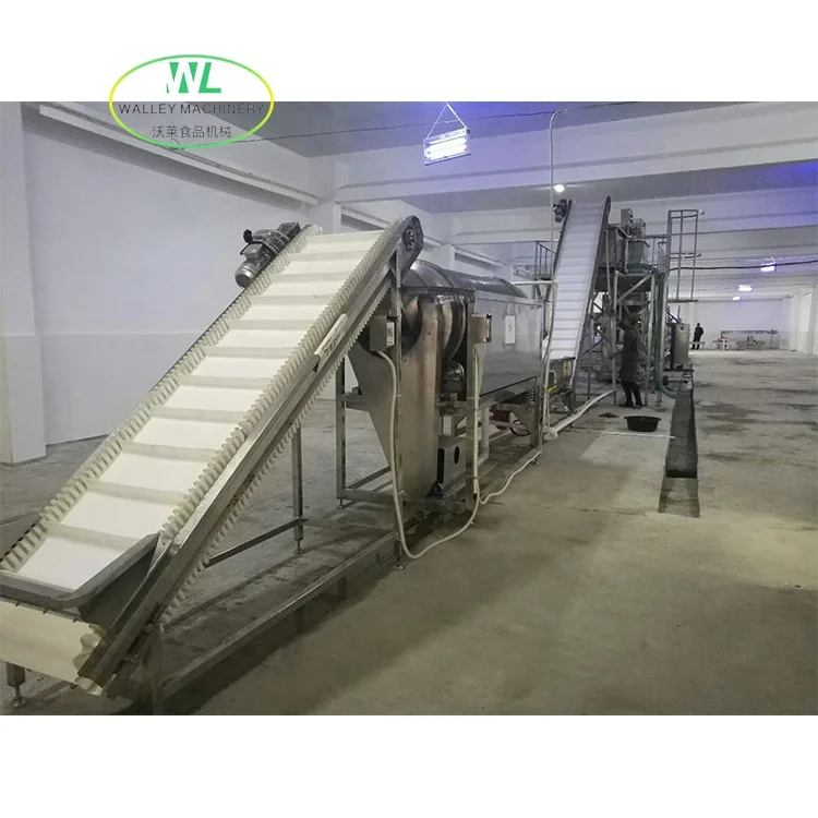Hotsell Full Automatic Prune Raisin Washing and Drying Machine Plum Process Line Dried Mulberry Moisture Increasing Polishing