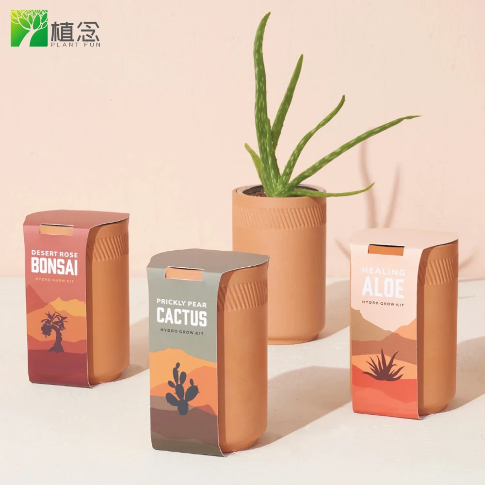 Amazon, Лидер продаж, без ГМО, набор семян алоэ, кактуса, пустыни, розы, бонсай для внутреннего сада