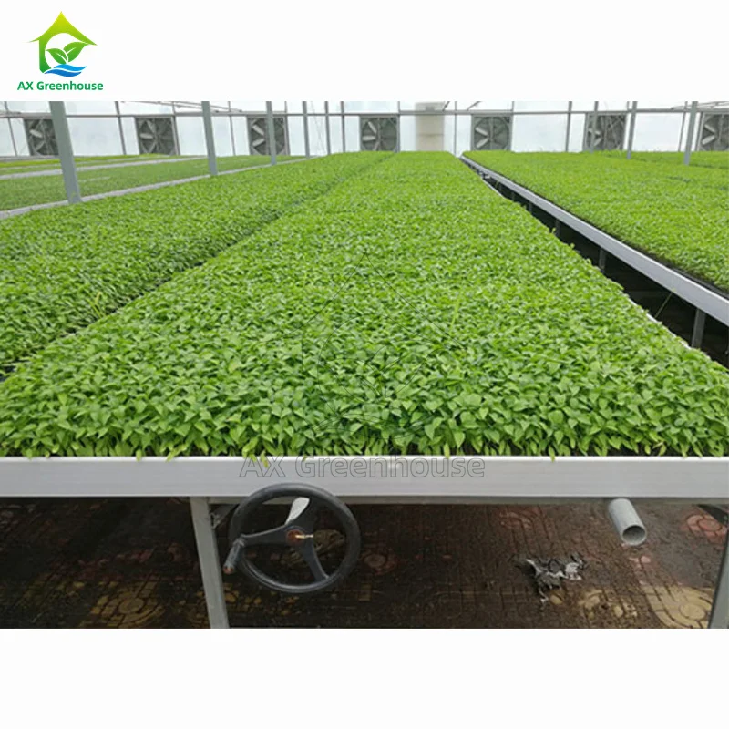 Hydroponic Systems Expanded Metal Mesh Greenhouse Rolling Bench/Table