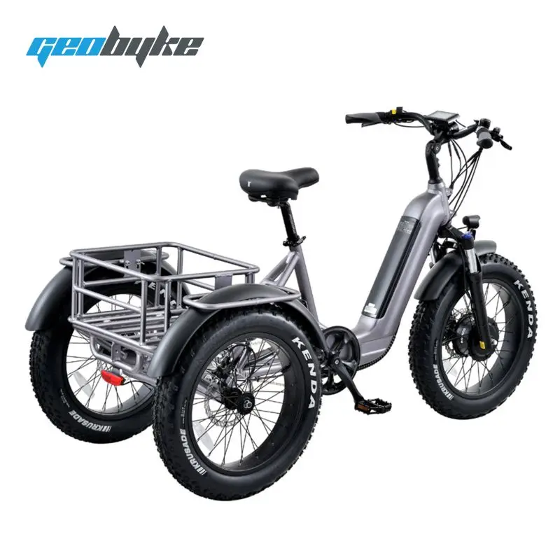 2022 Electric Tricycle Adults OEM Customize Battery Powered Electric Trike Three Wheels