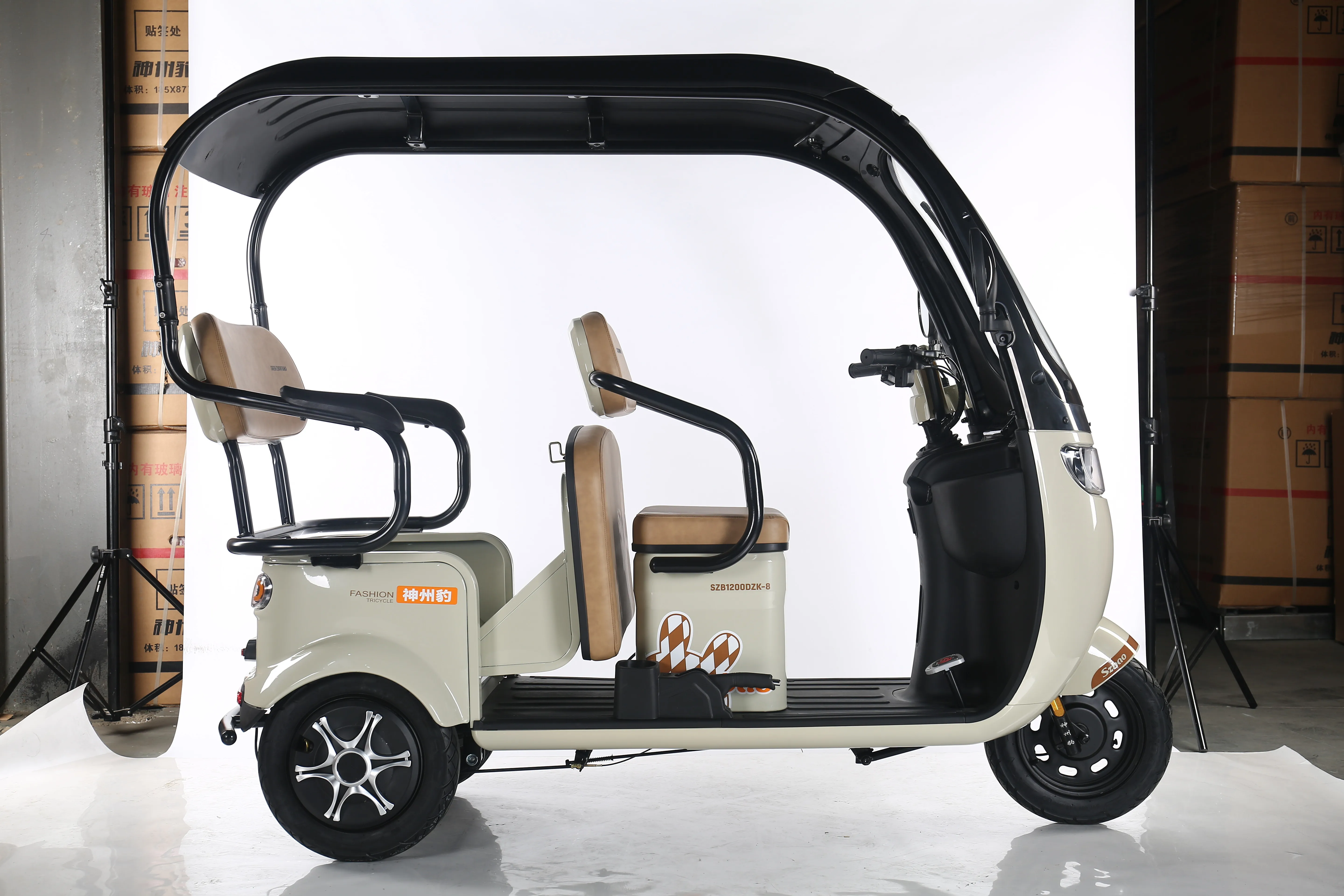 China Cheap adult electric tricycle 3 Wheeler Electric Vehicle Tricycle For 2 People