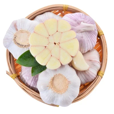 New Harvest 20kg Mesh Bag Packing Normal White Garlic 5.0cm