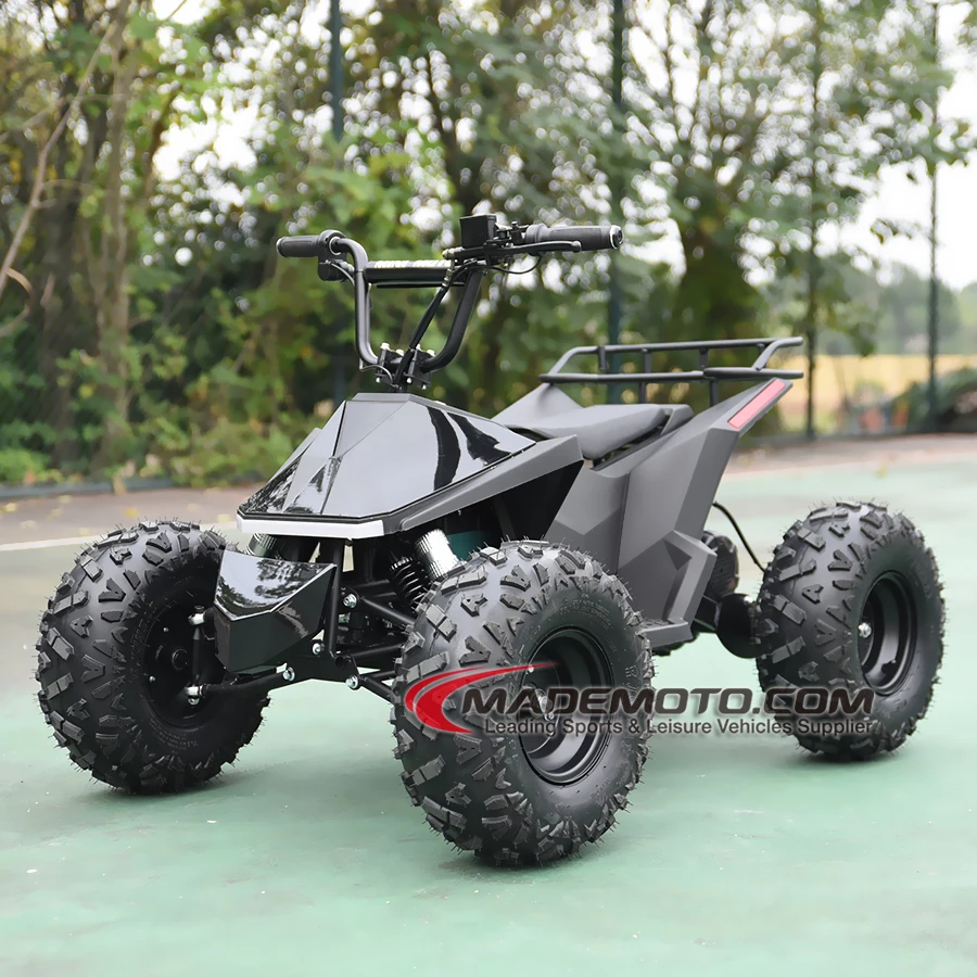 8-дюймовый 2000 Вт 4x4 Ev Atv 3-колесный электромобиль с аккумулятором и квадроцикл