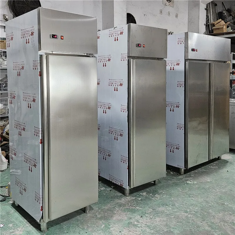 Professional Commercial Kitchen Stainless Steel Refrigerator Upright Freezer Double Door Digital Compressor 220V Cool Climate