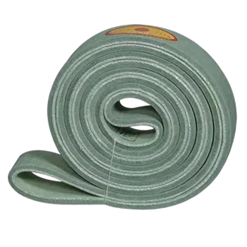 480 Degree Kevlar Green High-Temperature Seamless Conveyor Belts for Aluminum Profiles Textiles & Leather Products
