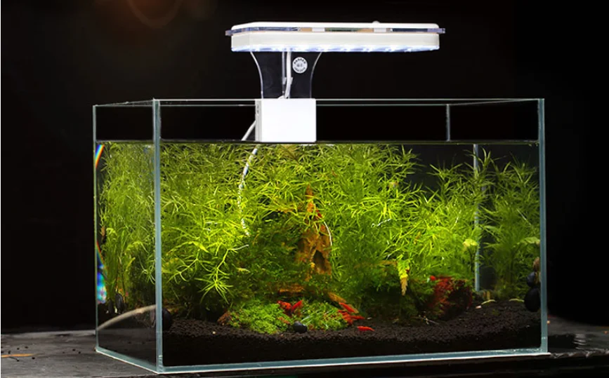 
2020 Hot Selling Atman LED Smart Aquarium Lamp For Fish Tank No Frame Tank 8.2w 100-240v Aquarium Lamp 