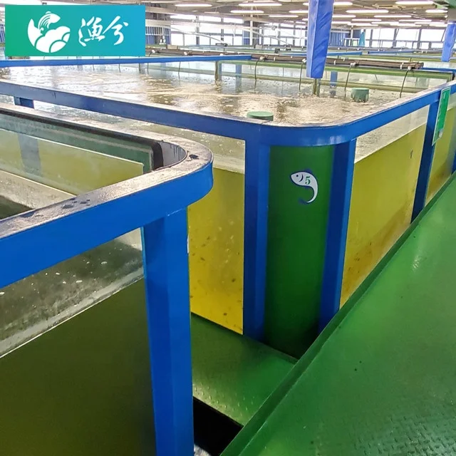 
Indoor fish farm / Intelligent Circulating Water Aquaculture Monitoring System 