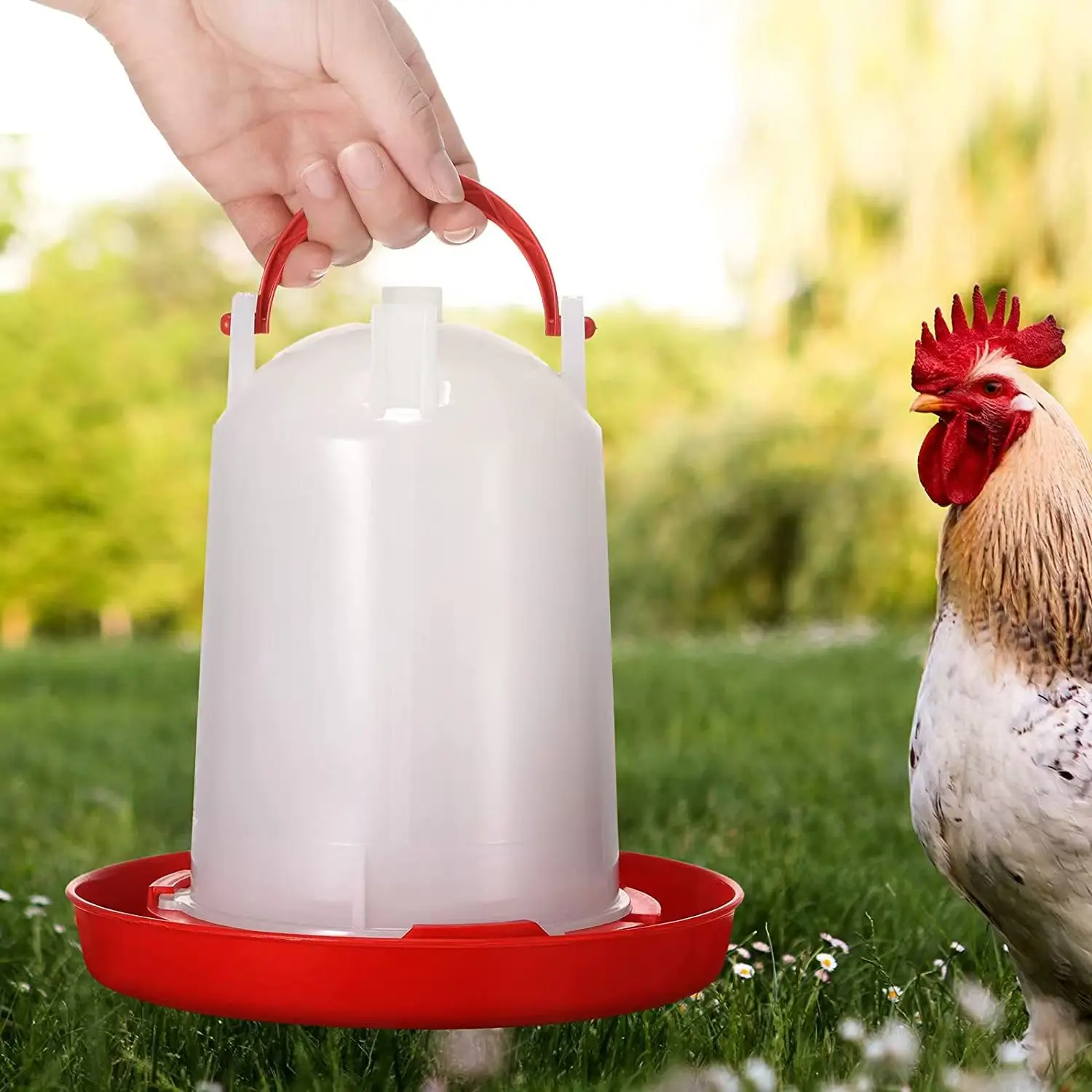 Factory direct sale Poultry Drinker chicken bird quail pigeon equipment durable material plastic drinker easy use