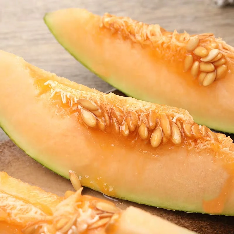 
nutrient solution for hydroponics , nutrients for hydroponics 