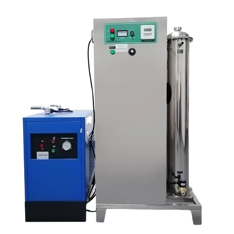industrial ozone water purification system factory water treatment ozone generator for water 100 g
