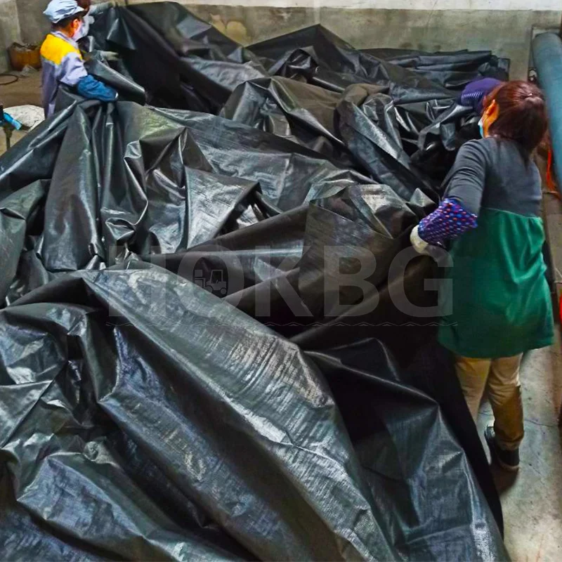 HOKBG Factory Geo Greenwall Geotextile Silt Curtain Geotechnical Fabric for pond