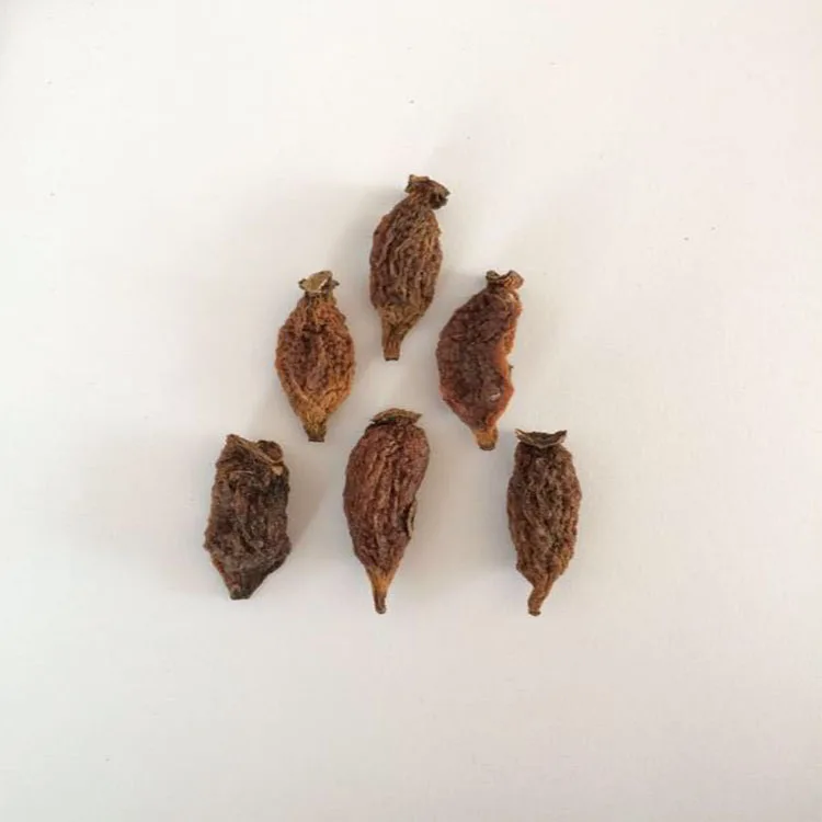 Wholesale bulk Japanese Catnip cat toy dried Fruits Organic Actinidia polygama Matatabi Silvervine Fruit