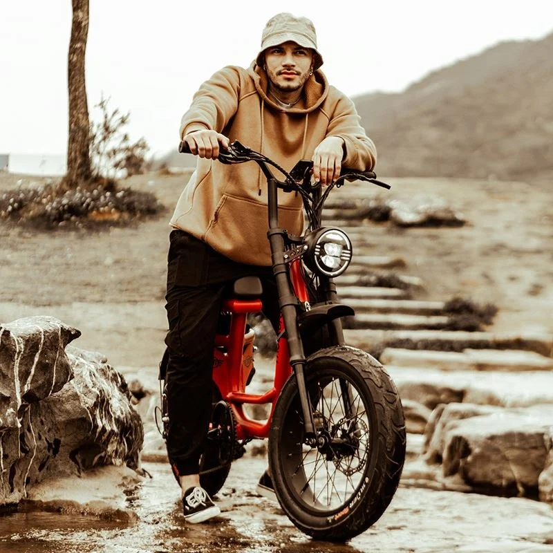 2023 New Frame Step Though Electric Bike Off-road Fat Tire Electric Dirt Bike