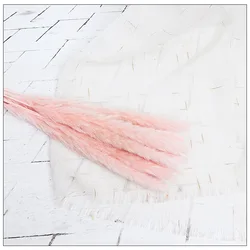 15pcs/bundle  60CM Dried pampas grass Eternal flower Amazon hot sales Decorative Flowers & Wreaths length cuttable